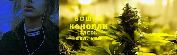 первитин Гусев