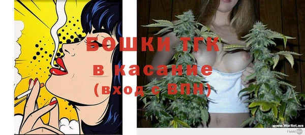винт Гусиноозёрск