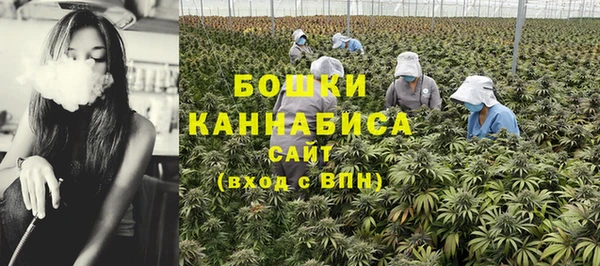 винт Гусиноозёрск