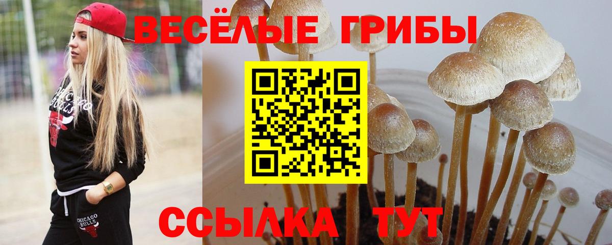 Галлюциногенные грибы GOLDEN TEACHER Мценск