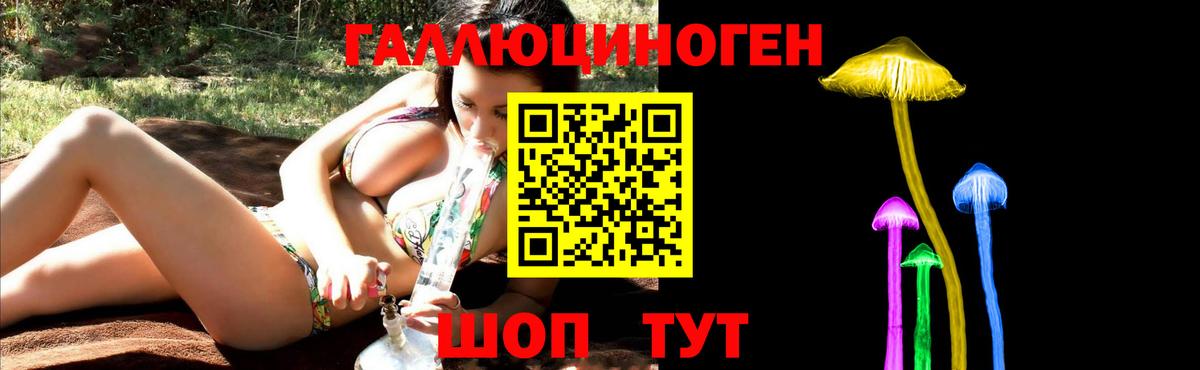 Мценск  Псилоцибиновые грибы мицелий  Вход с VPN 
